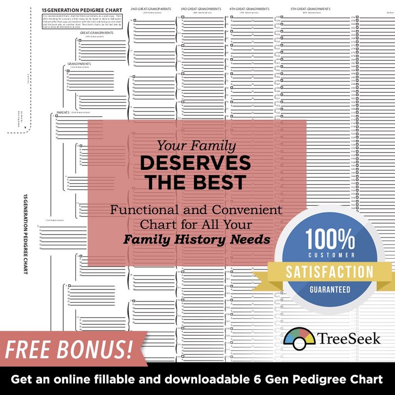 TreeSeekÂ® 15 Generation Pedigree Chart | 5 Pack | Blank Genealogy Forms for Family History and Ancestry Work - Image 4